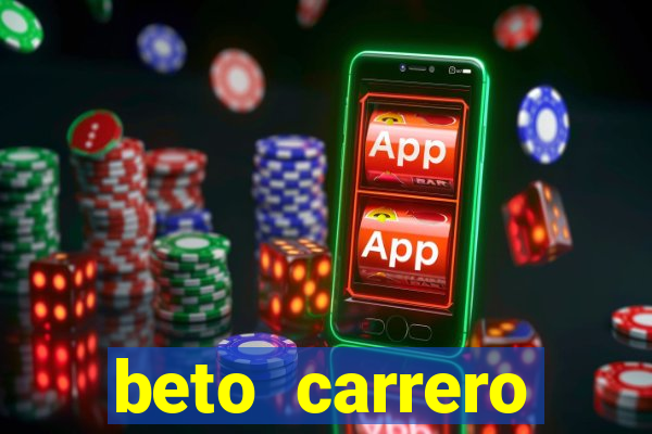 beto carrero cidades proximas